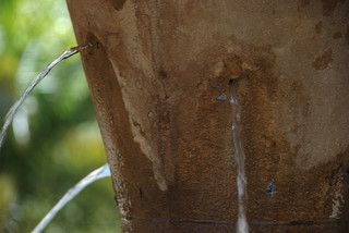 bucket with holes