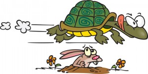 tortoise and hare